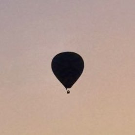 Izu_Baba's profile picture. Bants and Sarcasm is the Language of God.