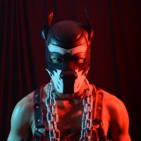 MistR Wolfe 🐺 (@josefheat) 's Twitter Profile Photo