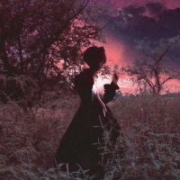 Wren (@6y333p52dvqn45) 's Twitter Profile