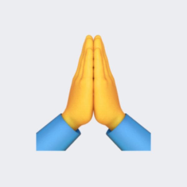 AnmelyZhang's profile picture. 