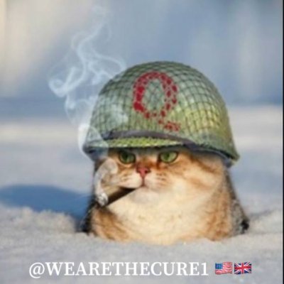 JaneDor16's profile picture. De l'ombre à la Lumière 🌓
Nouvelle Terre 💜
NESARA / GESARA 🕊🙏💖
🇧🇷  🇷🇺  🇮🇳  🇨🇳  🇿🇦 +
#SaveOurChildren
#protectourchildren
WWG1WGA
#CharlieKirk