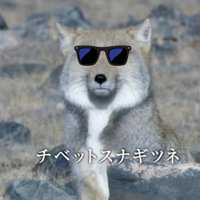 かゆ (@t_m_g_zzz) 's Twitter Profile