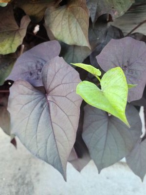 knittingagood's profile picture. 