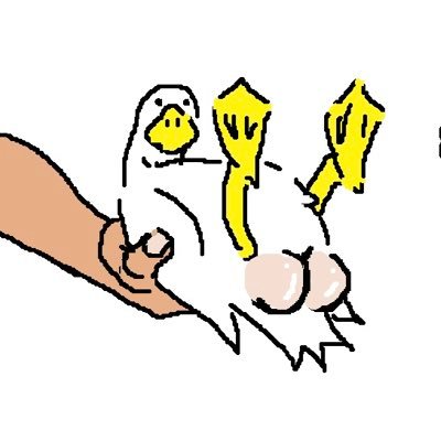 ズンボラさんのプロフィール画像