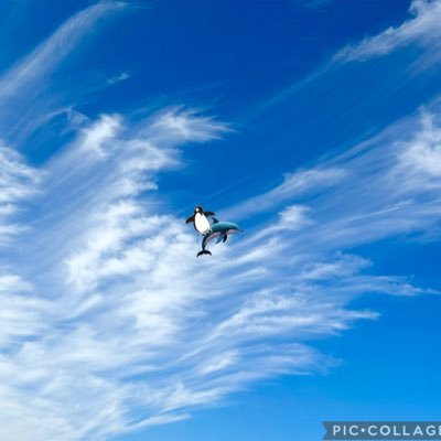 nonna_thefirst's profile picture. 