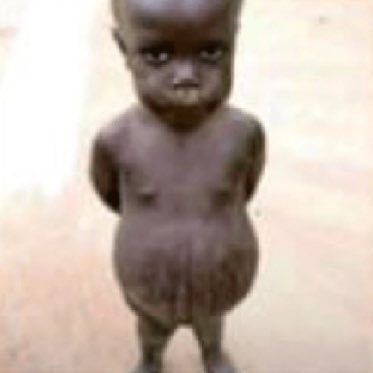 sofinebozuk22's profile picture. 