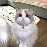 Joanna (@joanna5200) 's Twitter Profile