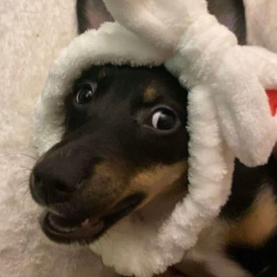 JanieandFayth's profile picture. 