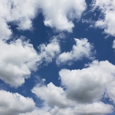 teamsavior777's profile picture. 