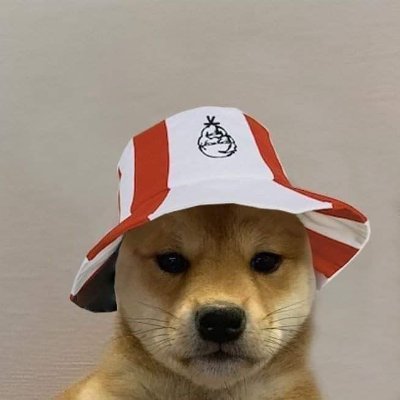 Mavixfn1's profile picture. 15 | 🇨🇦 | @WTJFuture | Division 2 | 1.0k @Twitch | Inquiries: @TiggerMGMT | @PoggersShop Code MAVIXFN #ad | #RepTheSet ❌🚀