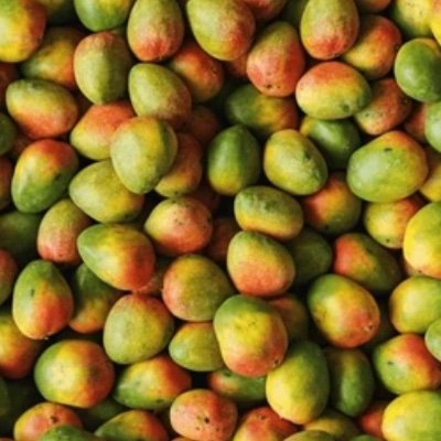 gyatteixxy63400's profile picture. anyone interact unless your like super fucking weird