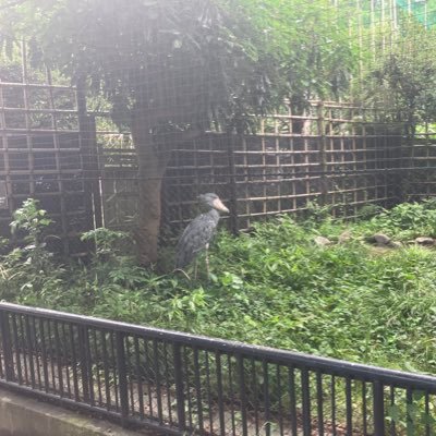 stepstep_123's profile picture. 🕊️