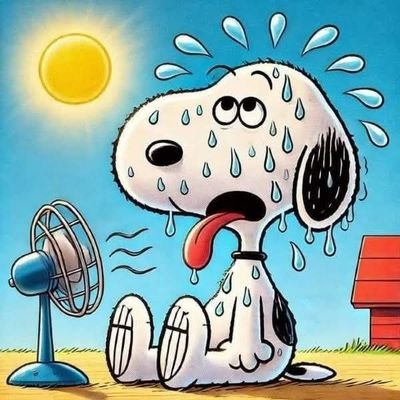 bp_sewell's profile picture. DOD & VA 🤔🫡