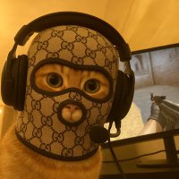 CryptoKid (@cryptokid310698) 's Twitter Profile