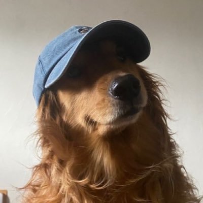 peekangles's profile picture. Kato, Dreamhack and Cologne sticker enjoyer