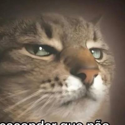 moregamer505's profile picture. ⚡