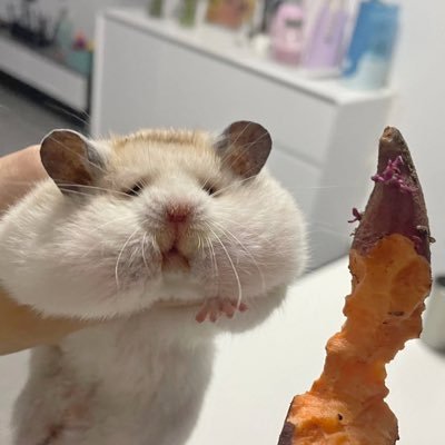 hh_rr2066's profile picture. ⭐️⭐️⭐️