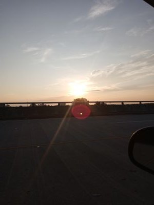 JamesParce4173's profile picture. A hard working man