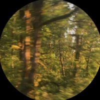 LY away (@seeeeeyoulater) Twitter profile photo