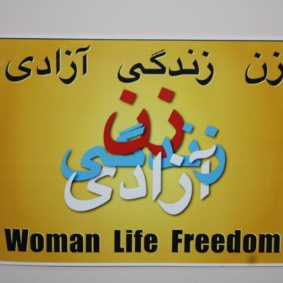 من برای انقلاب زن_زندگی _آزادی و سرنگونی جمهوری اسلامی ایران تلاش میکنم