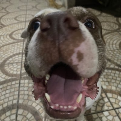 EmanuelMag01's profile picture. 
