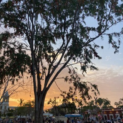 Marco0757423531's profile picture. 🔕