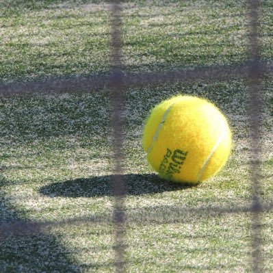 doombad123's profile picture. 