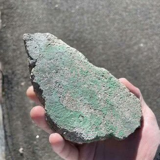 shunto_yokoi's profile picture. 