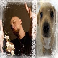Kedamayonnaise (@kedamayo1) 's Twitter Profile