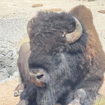 employable_guy's profile picture. PhD History of Consciousness