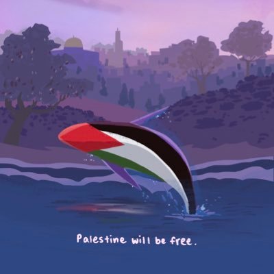 Vietnamese/English. 30+ introvert || ONE PALESTINIAN STATE SOLUTION