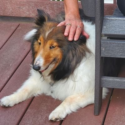 Kizmet63's profile picture. 