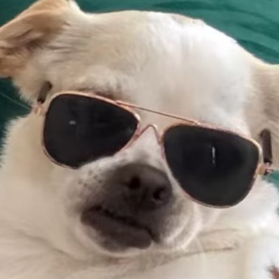 pura_pinolera's profile picture. ~ she/they ~ Virgo Sun / Cap Rising / Pisces Moon ~