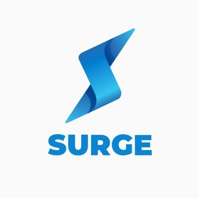 Surge on Chain Profile