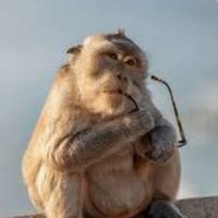 TownMaxim (@townmaxim) 's Twitter Profile Photo