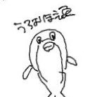 もさんのプロフィール画像
