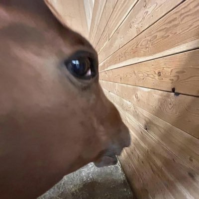 jėßtërさんのプロフィール画像