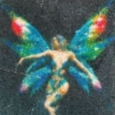 Prota Profile