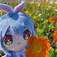 ららぴょん（コメントご確認お願い致します） Fp0vnsvakAE93SL.jpg