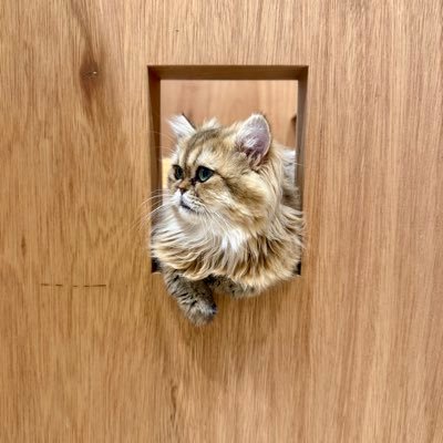 nagimaru888_365's profile picture. one or eight 大好き(箱推し)（X初心者すぎて失礼があったらすみません🙏）1DERZの皆さん仲良くして頂けたら嬉しいです♡