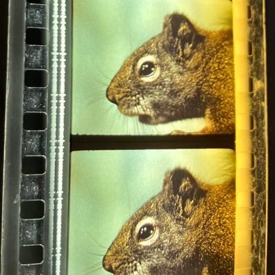 RoTelHell's profile picture. Huh?