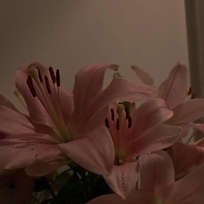 DDkhmj88's profile picture. 