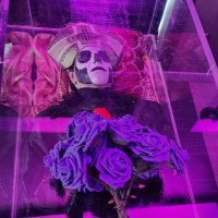 TheAutumnalReaper (@reaper_autumnal) 's Twitter Profile