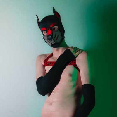 Puppy_Xeno's profile picture. owned by @rayunbound 💙