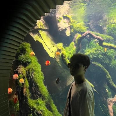 tonysun's profile picture. eng at @x