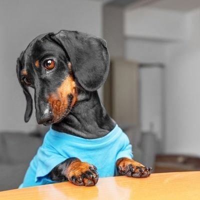 Sanmylinpe42923's profile picture. 