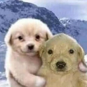 David Tami jimenez - @david_tami63797 - Twitter