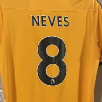 ErikWWFC🐺 (@erikwwfc) 's Twitter Profile