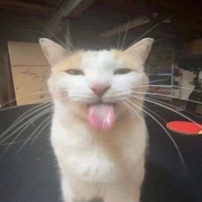 NekKroz7さんのプロフィール画像