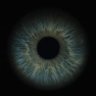 KookaFr's profile picture. Affinity Suite・UE5・Blender・ClipStudio・Plasticity・Marvelous Designer・AI・Rive・FlutterFlow・Fusion 360・World Creator/Gaea・CC4